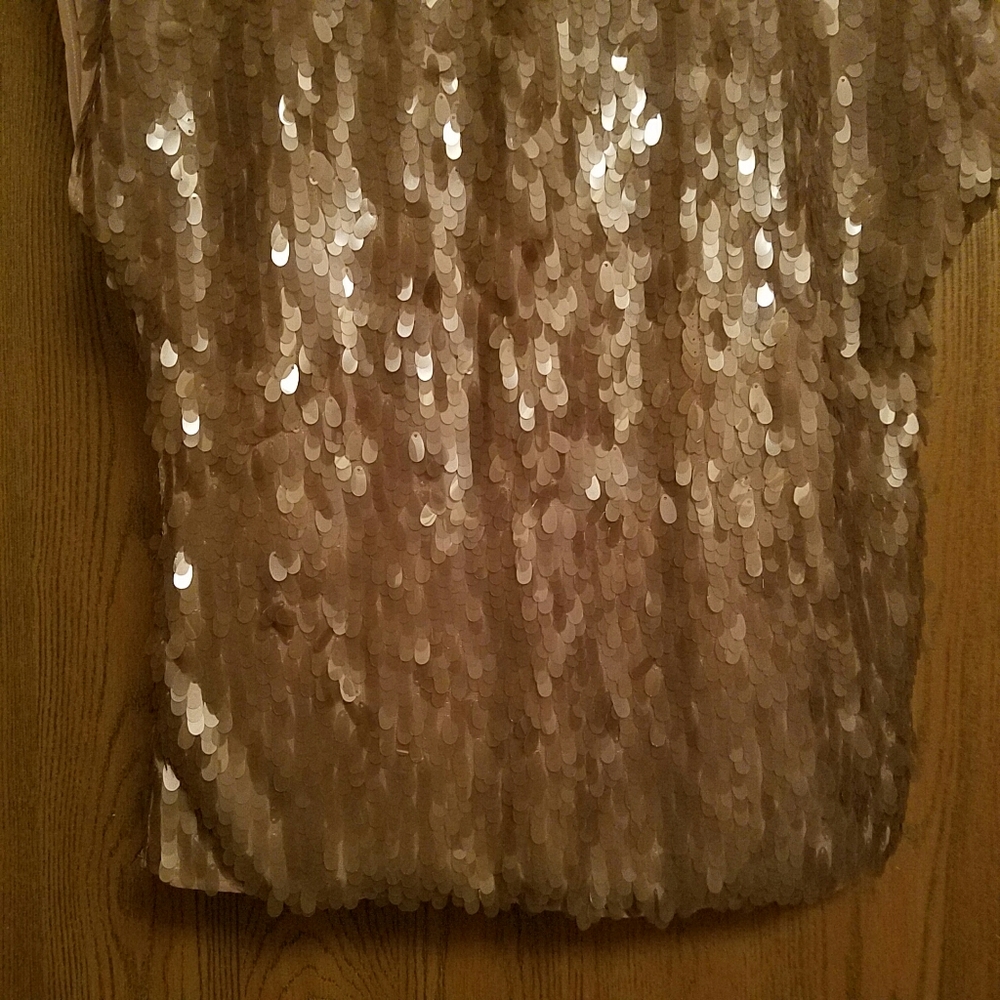 Rachel Zoe beige sequin top - Picture 4 of 7